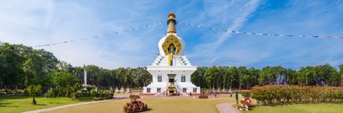 Flights from London to Dehradun with Air India