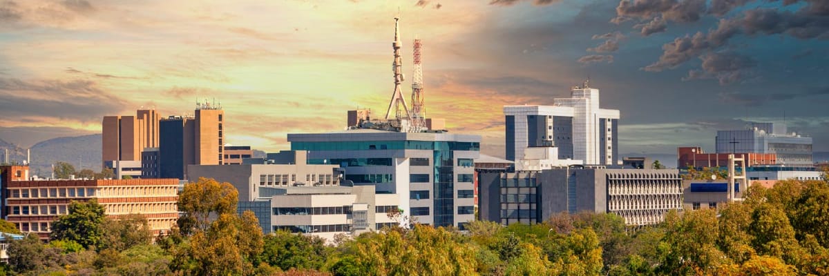 Flights to Gaborone with Air India