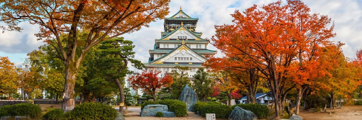 Flights to Osaka with Air India