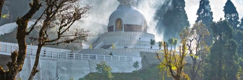 Flights from Vadodara to Bagdogra with Air India