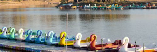 Flights from Bangalore to Chandigarh with Air India