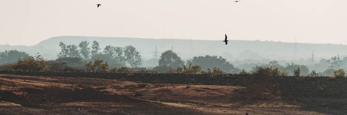 Flights from Kolkata to Rajkot with Air India