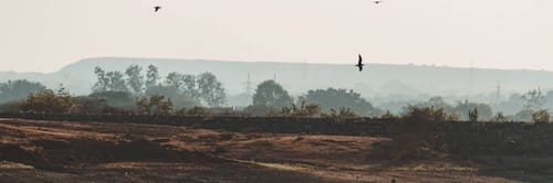 Flights from Melbourne to Rajkot with Air India