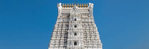 Flights from Bhubaneswar to Tirupati with Air India