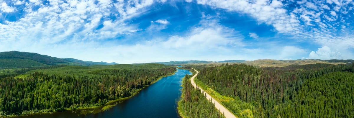 Flights from Prince George with Air India