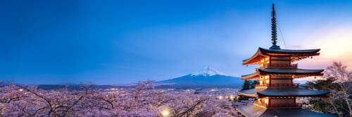 Flights from Delhi to Japan with Air India