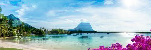 Flights from Delhi to Mauritius with Air India