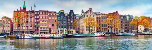 Flights from Delhi to Netherlands with Air India