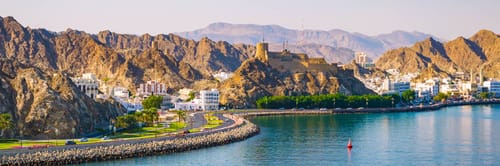 Flights from Delhi to Oman with Air India