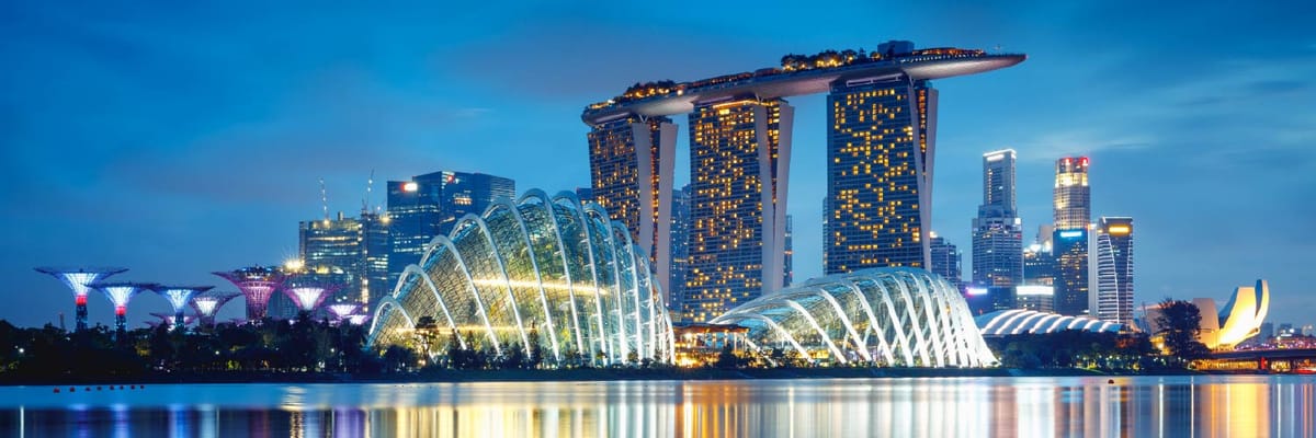 Flights to Republic of Singapore with Air India