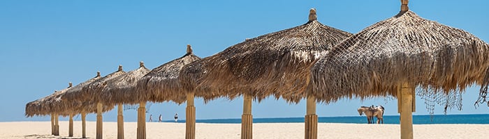 cabo san lucas beach with umbrellas