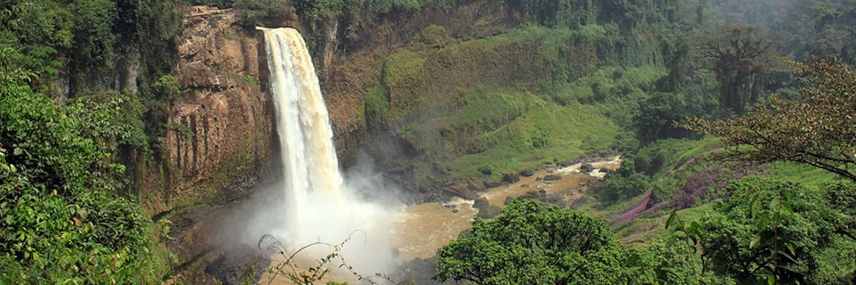 Vols pas chers de Yaoundé. Billets Royal Air Maroc