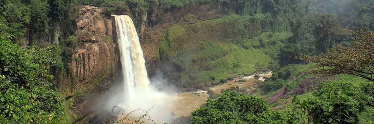 Book Royal Air Maroc Flights to Cameroon