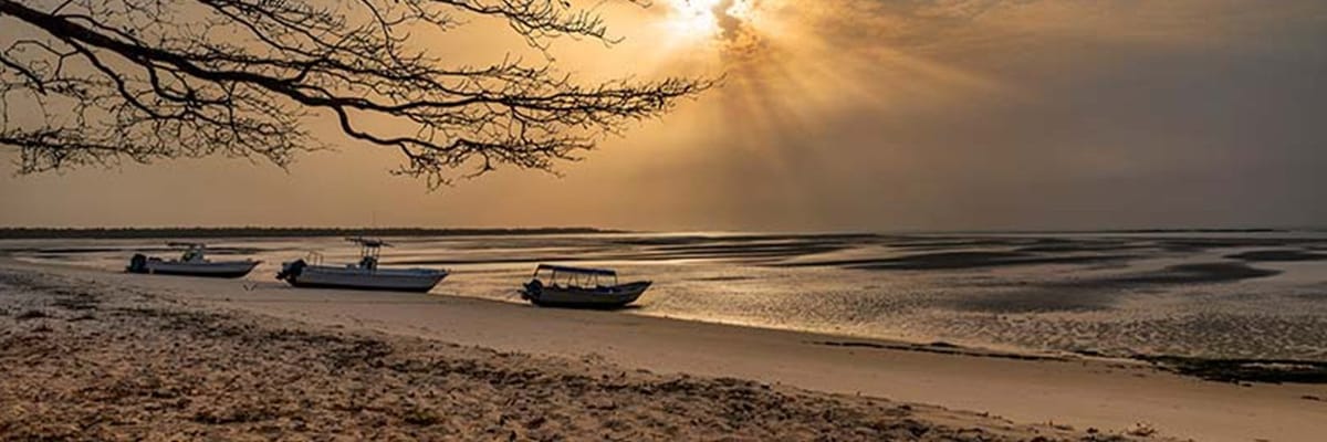 Boek Vluchten naar Guinee-Bissau