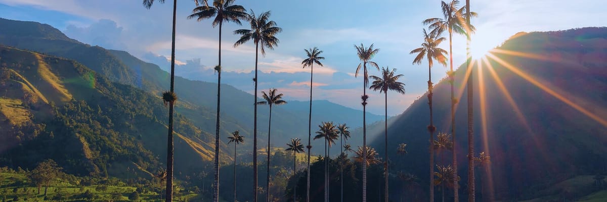 Vista de Armenia, Colombia, rodeada de cafetales y montaรฑas. Encuentra vuelos a Armenia y disfruta del Eje Cafetero y sus paisajes naturales