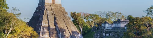 Vista aรฉrea de la pirรกmide de Tikal en la selva de Guatemala. Encuentra vuelos a Flores y descubre la grandeza de la civilizaciรณn maya