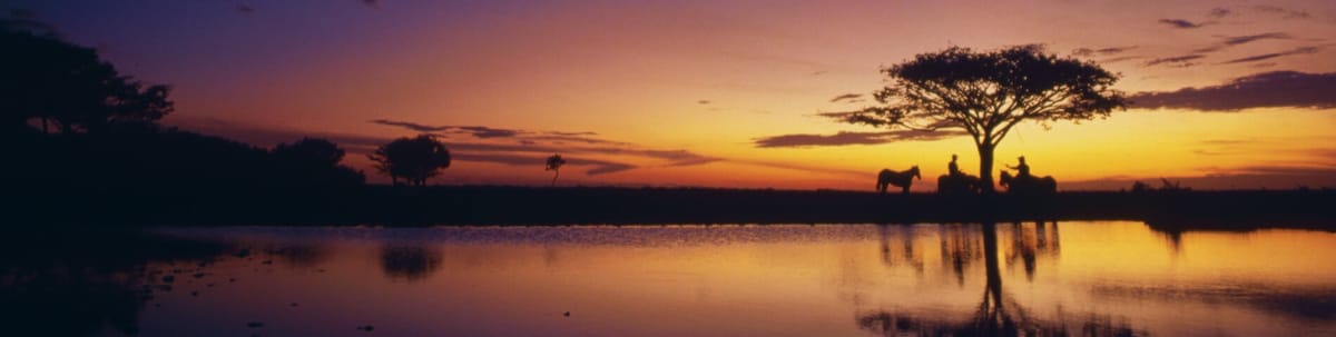 Atardecer sobre los llanos orientales en Villavicencio, Colombia. Reserva vuelos a Villavicencio y vive la autรฉntica cultura llanera.
