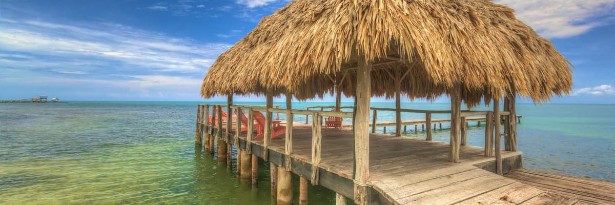 Encuentra los mejores vuelos con JetBlue