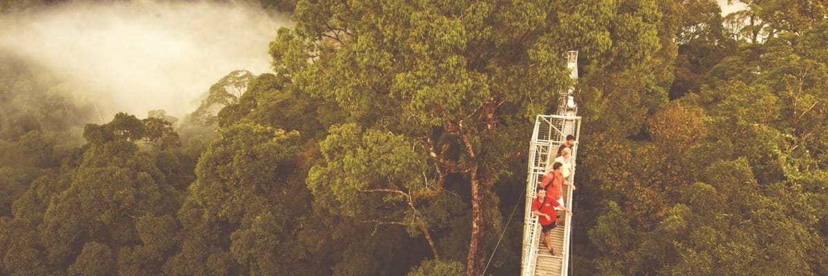 Find Royal Brunei Airlines Flights And Routes