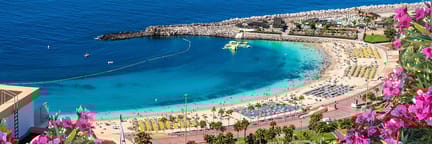 Book a flight to the Canary islands