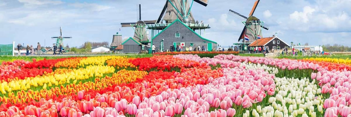 The Netherlands is a picture-perfect destination with its iconic canals, tulip fields, and cycling culture. Amsterdam’s museums and charming streets create a truly picturesque European experience.