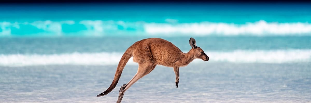 Book your Flights from Auckland to Brisbane