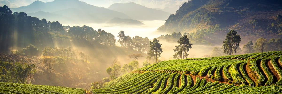 Book your Flights from Vancouver to Chiang Mai