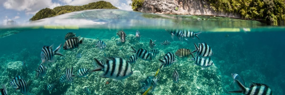Book your Flights from London to Koror (Palau)