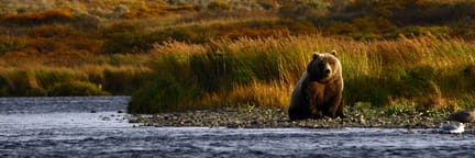 Vuelos a Kodiak (Alaska)