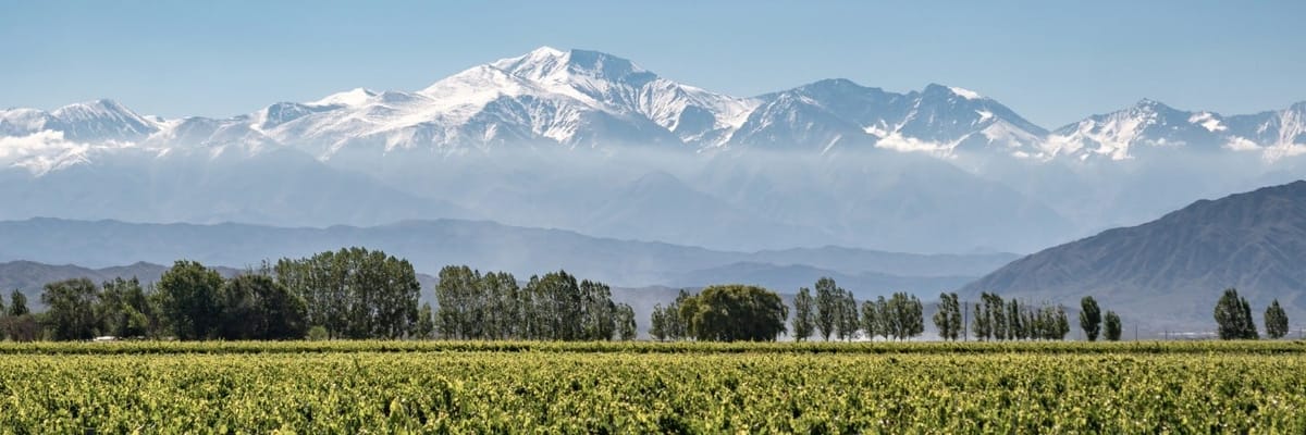 Flights to Mendoza {price_modifier}starting at **Flights.FromLowestPrice**