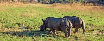 Cheap Flights to Bulawayo