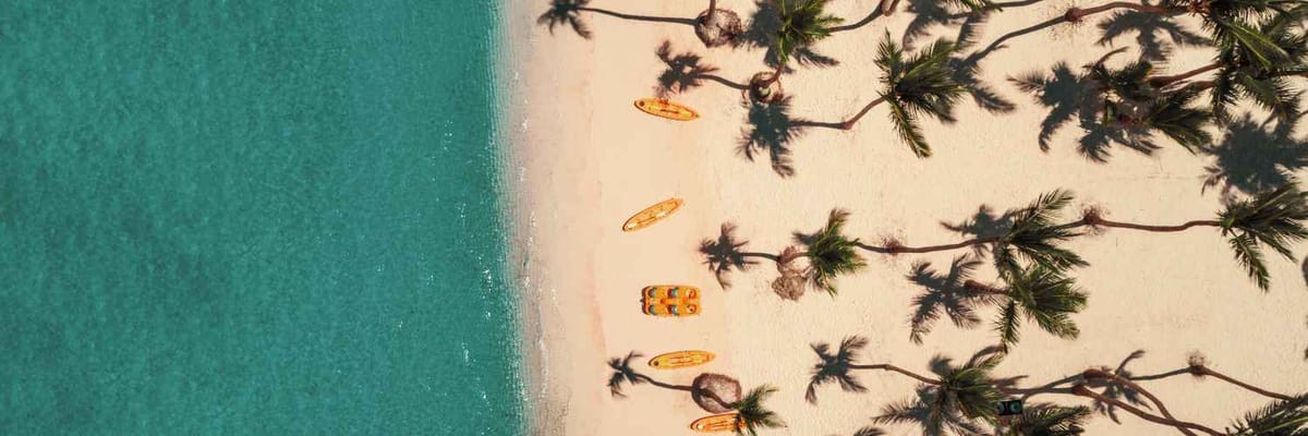 Flights to Punta Cana {price_modifier}starting at **Flights.FromLowestPrice**