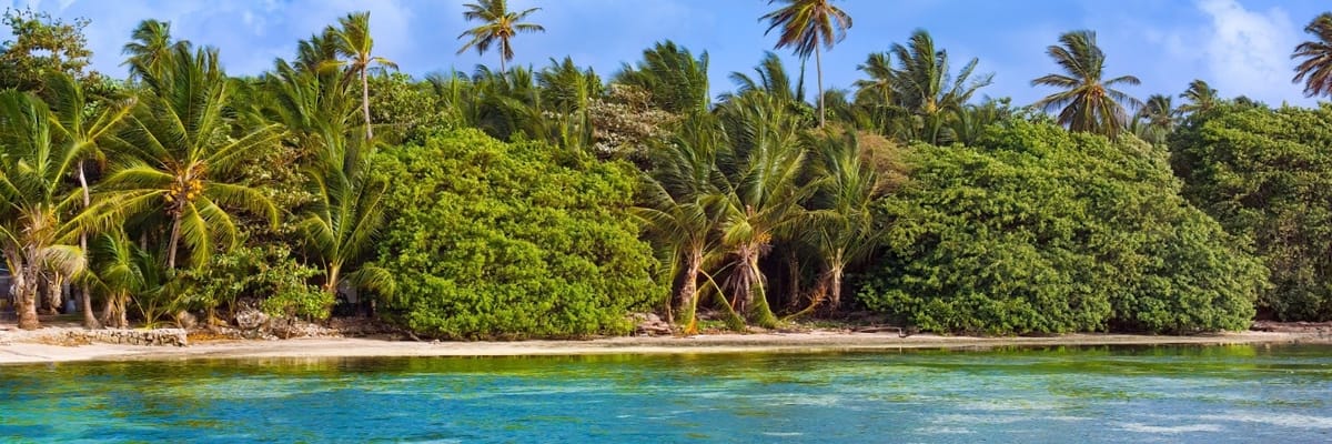 Flights from Frankfurt/Main to San Andres
