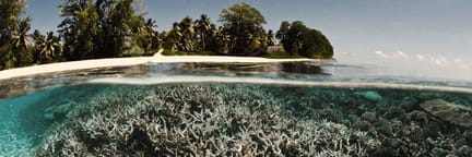 Flights to Seychelles
