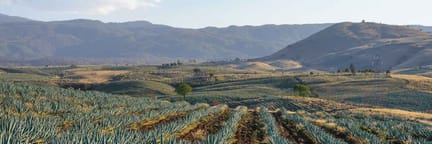 Cheap Flights to Guadalajara