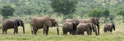 Cheap Flights to Hoedspruit