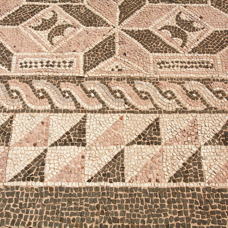 Het Archeologisch Museum en het volkenkundig museum