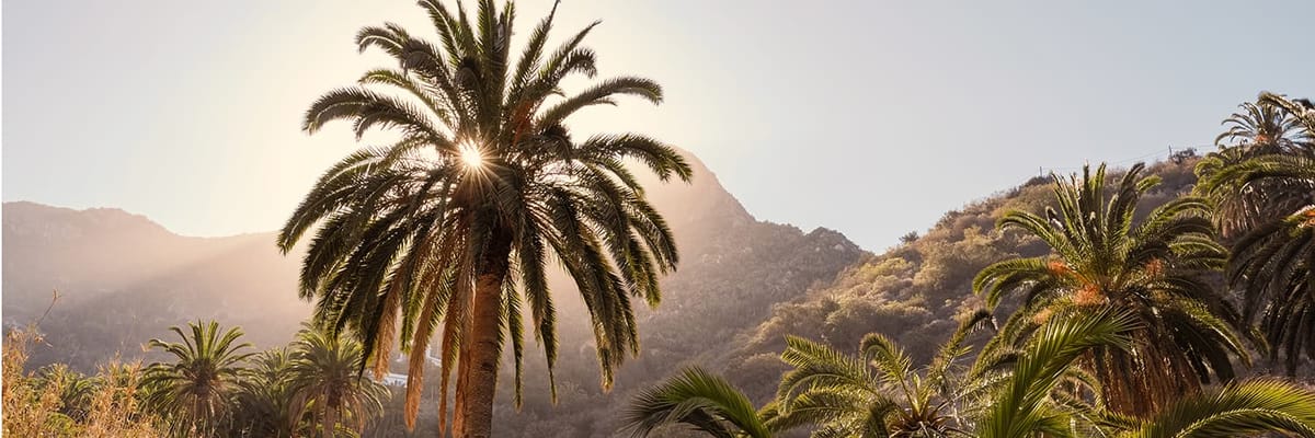 Flights to San Sebastián de La Gomera {price_modifier}starting at **Flights.FromLowestPrice**