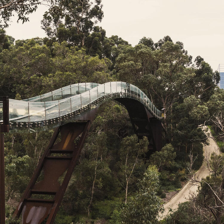 Kings Park et le Jardin botanique