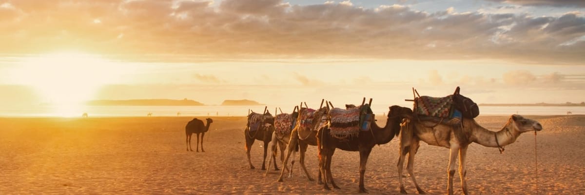 Flights to Agadir {price_modifier}starting at **Flights.FromLowestPrice**