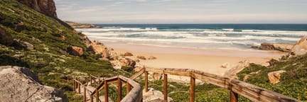 Vuelos a Ciudad del Cabo