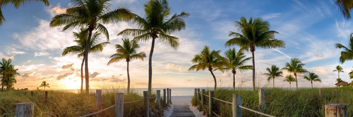 Flights to Fort Lauderdale {price_modifier}starting at **Flights.FromLowestPrice**