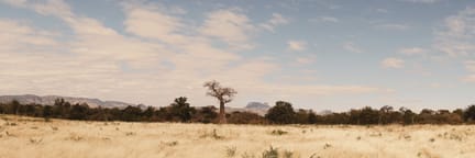 Cheap Flights to Harare