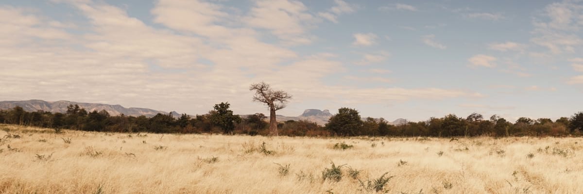 Vuelos a Lusaka