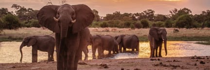 Cheap Flights to Maun