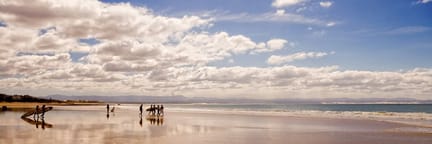Cheap Flights to Port Elizabeth