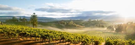 Vuelos a Santa Rosa (California)