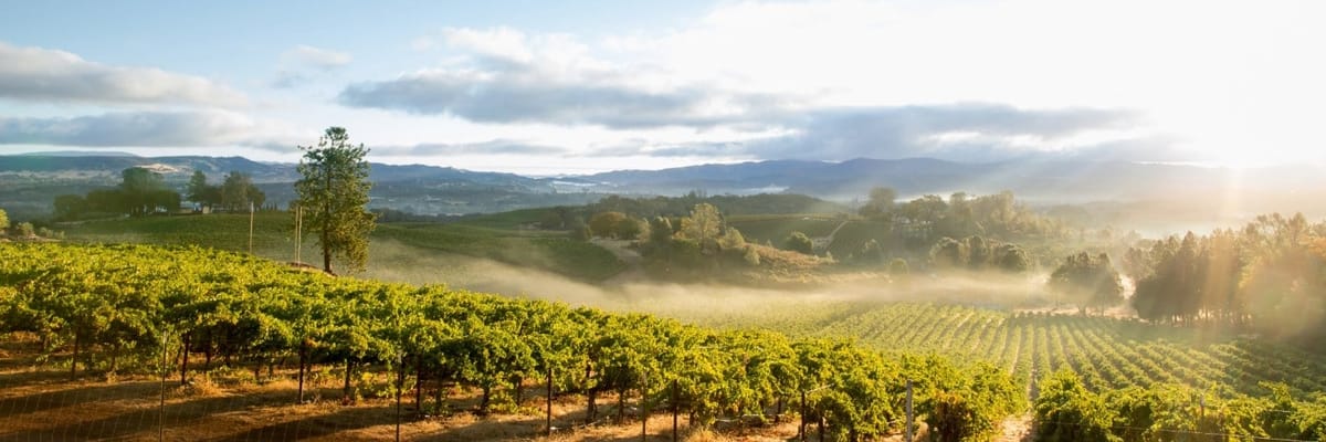 Flights to San Francisco/Santa Rosa {price_modifier}starting at **Flights.FromLowestPrice**