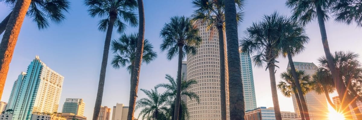 Flights from Madrid to Tampa