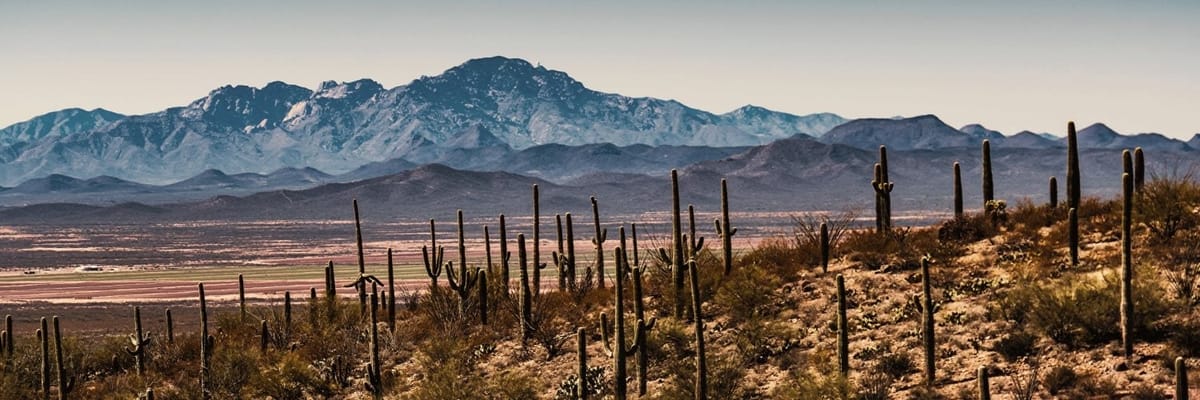 Vuelos a Tucson